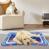Creative Baby Water Mat For Pets Cat Dog Water Play Mat Infant Toddler Inflatable Patted Pad Baby Children Preschool Toys