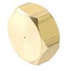 Female Cap 50/60 Brass - GARIS - D03509B