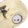 Halloween LED Glowing Skull Light Decorative Night Light with LED Light Up Eyes Skull for Ornament Patterned Skull