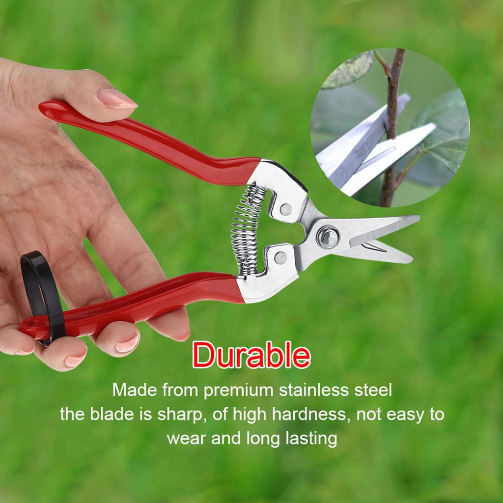 1Pc Sturdy Fruit Tree Bonsai Gardening Pruning Shear Garden Scissors Pruner Tool Curved Blade