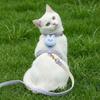 Anti-Escape Outdoor Vest-Style Harness with Leash for Cats and Small Dogs