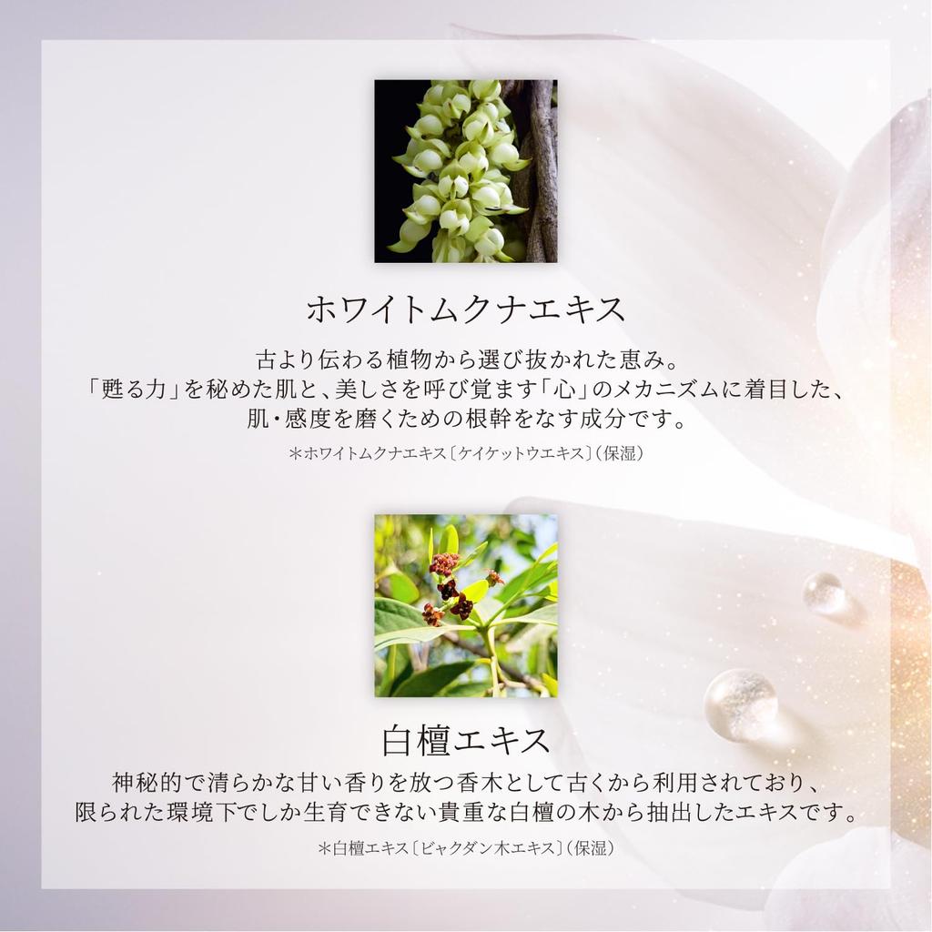 DECORTÉ (Cosme Decorte) AQ Absolute Lotion Hydro-Infuse II 200mL