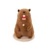 Popular capybara doll kapibara plush doll children sleep with birthday gift plush toy