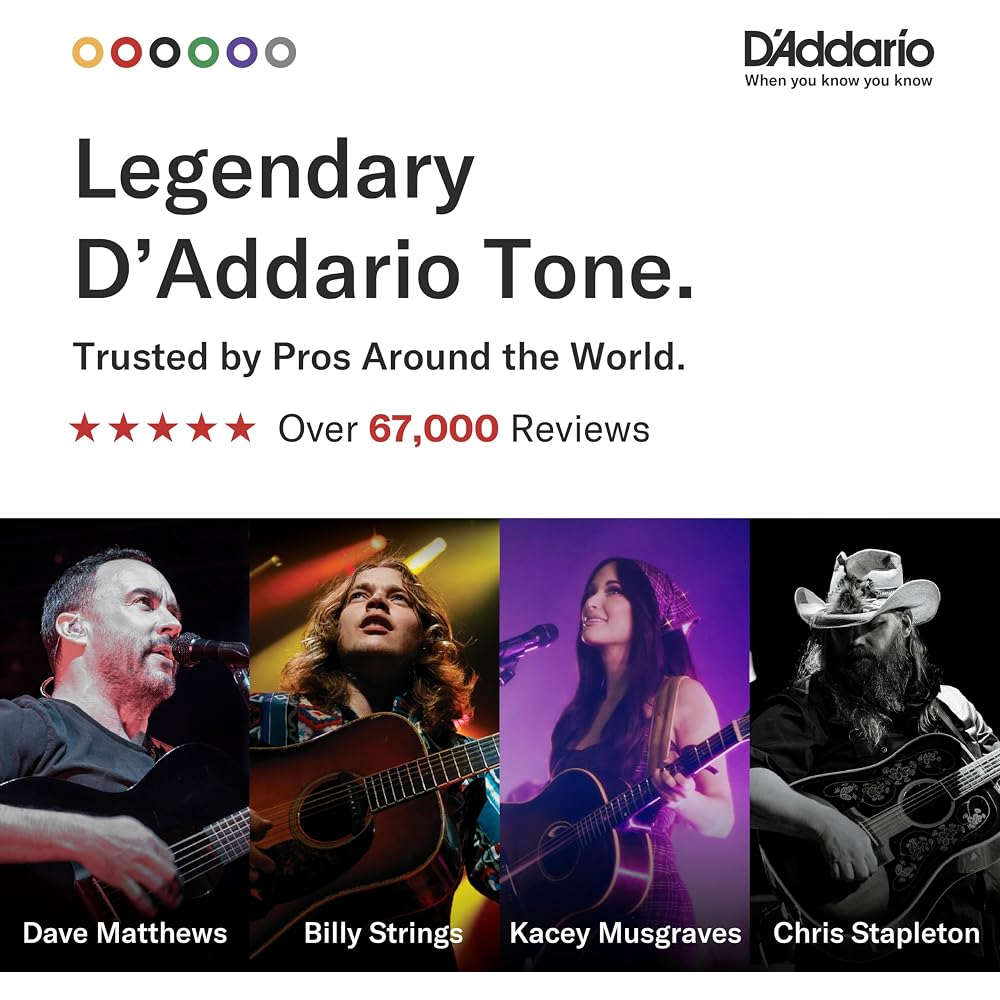 D'Addario Daddario Acoustic Guitar Strings Phosphor Bronze .009-.045 12 Strings Light EJ41 [Domes...