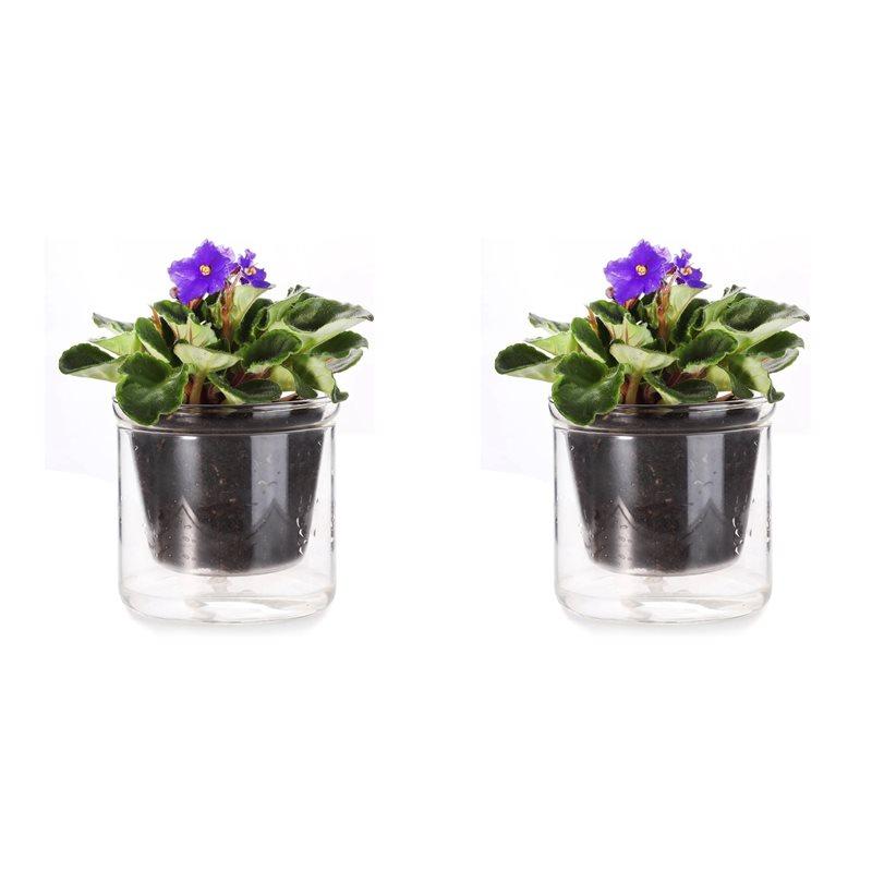 

2Pcs 4 Inch Self Watering Pot,African Violet Pot,Bottom Watering Glass Planter For Indoor Plants And Progagation прозорий