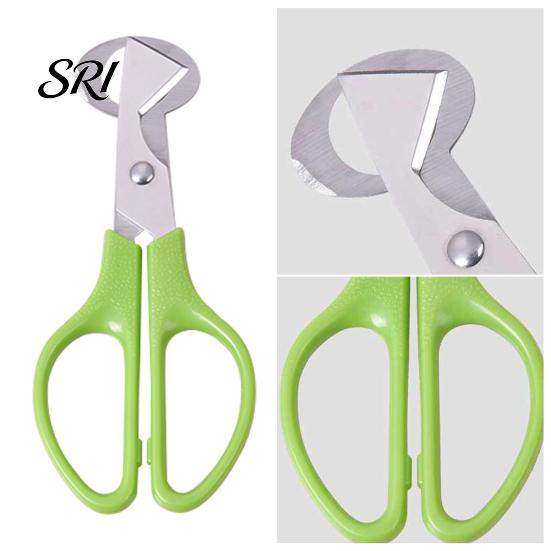 Quail Egg Shell Opener Scissors with Non-Slip Handle Cutter Stainless Steel Blade Lightweight Kitchen Shears Easy Clean Tool for Precise Cutting