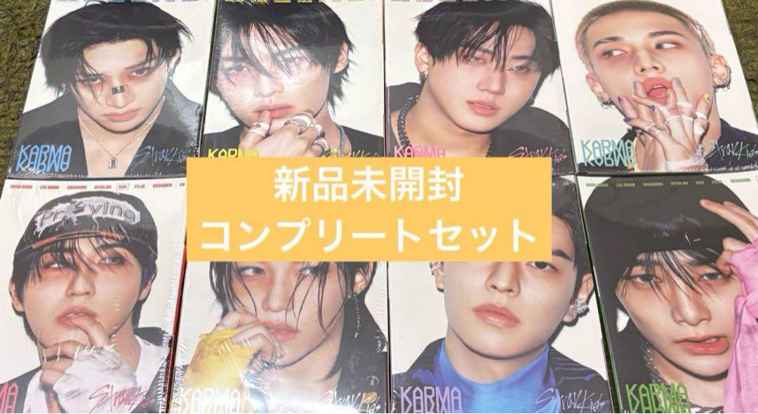 

[USED] KARMA Album Accordion 8-Disc Complete Set