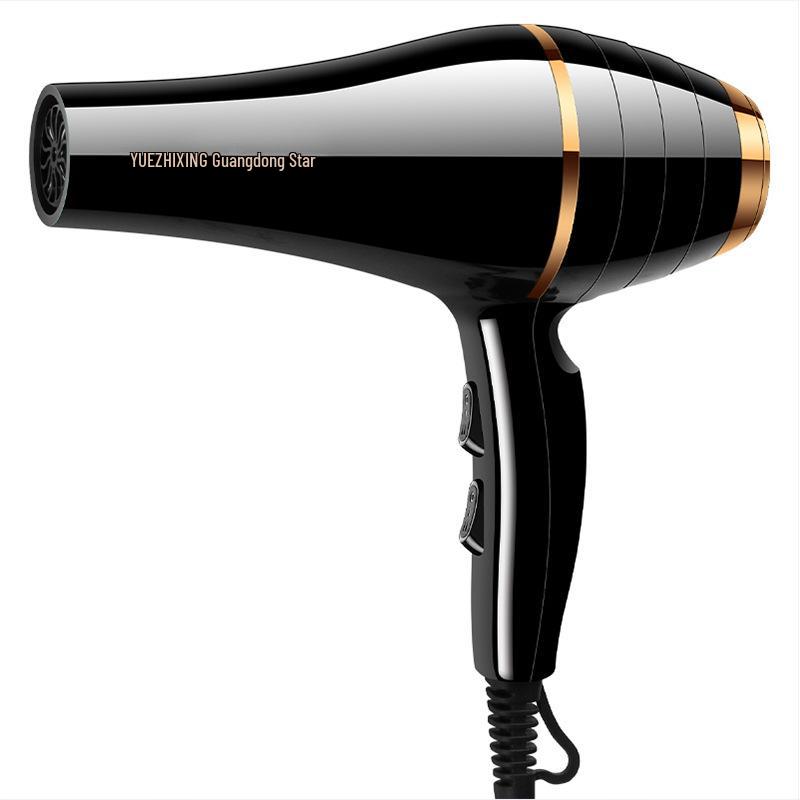 High-Power Hair Salon Dryer for Homes