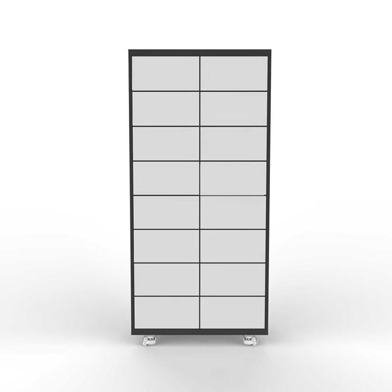 Xinmi XM-211 Face Recognition Intelligent Security Cabinet