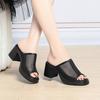 Slippers Women In Summer Thick Heel Waterproof Platform Mesh Breathable Exposed Toe High Heel Soft Sole Ladies Sandals Elegant
