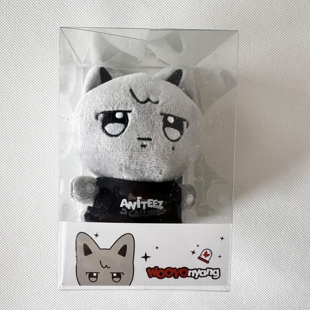 

[USED] ANITEEZ POPUP Wooyoung-nyan Plush Keyring with Trading Card Wooyoung