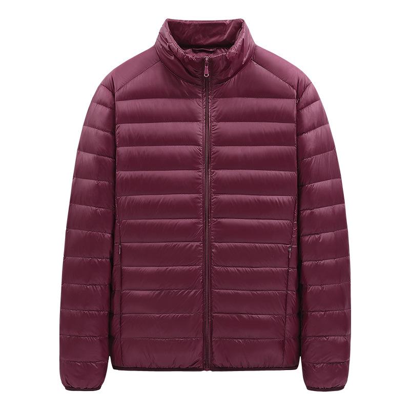 Leichte Herren-Daunenweste - Herbst/Winter Kollektion 2024, Trendiger Koreanischer Lässiger Stil, Weiße Entendaunenjacke
