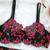 Embroidered Lace Lingerie Set: 4-Piece Transparent Bra & Panties