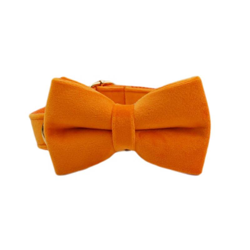 New orange flannel dog collar pet collar leash dog leash dog chain bow decoration