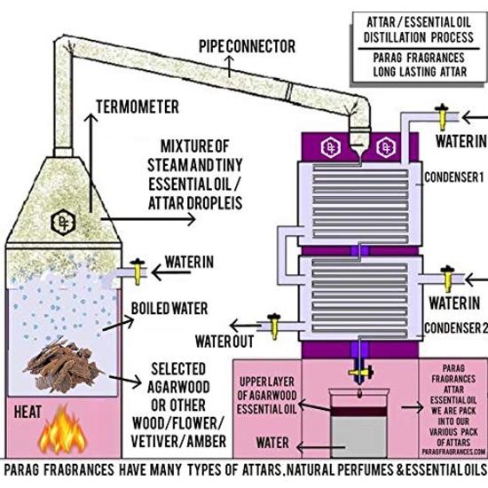 Parag Fragrances Its Only For Vip Men Perfume Spray 120ml / 1200 Spray For Men (Long Lasting Perfume/Fragrance For Men)