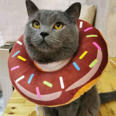Pet Recovery Collar Soft Comfortable Anti-scratch Pet Cat Dog Recovery Protection Collar Pet Supplies