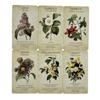 Botanical Inspirations Deck Ein Oracle-Brettspiel mit 44 Karten