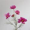 Artificial Gesang Flower Single Branch 4 Fork Queen Cosmos Fake Flower Silk Flower Bouquet Living Room Wedding Home Decoration