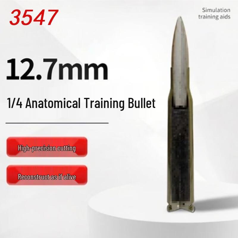 Quarter Anatomical Dissection Training Model