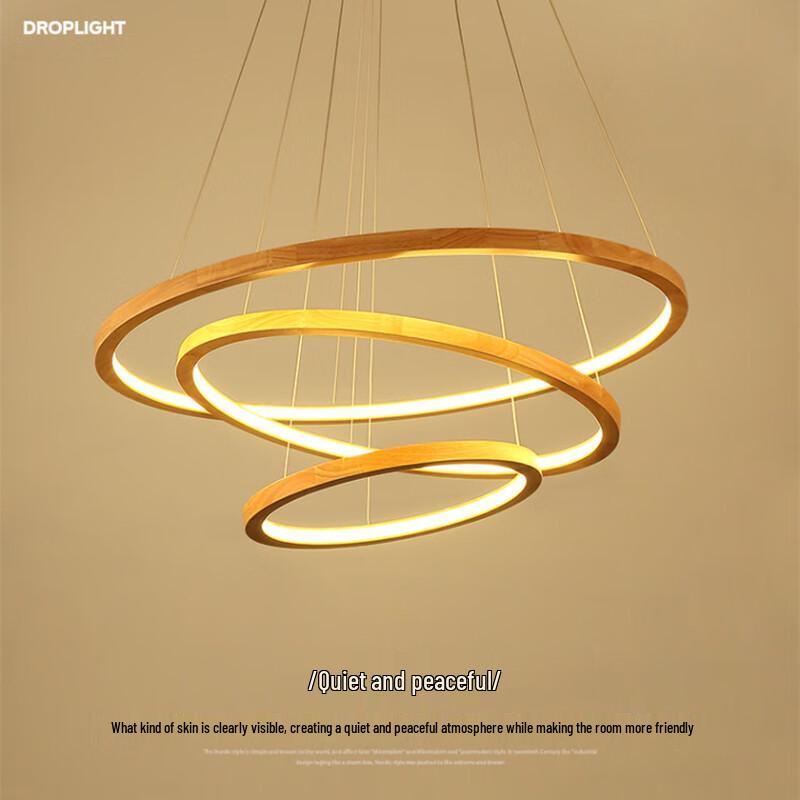 Pailide Modern Circular LED Pendant Light