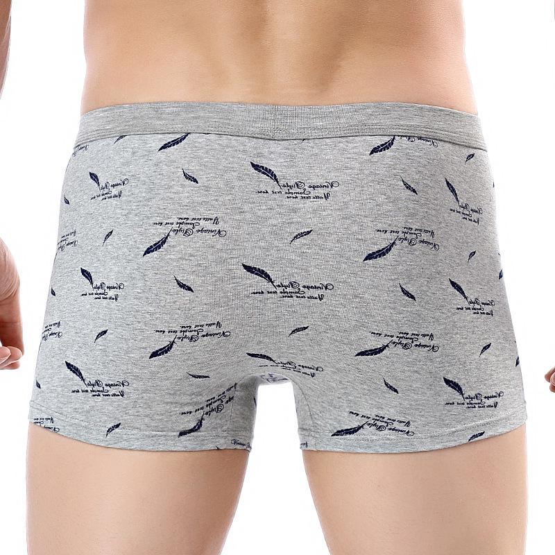 New Mens Underwear Boxer Cotton Homme Print 3D Boxershorts Men Boxers Male Underpants Size Plus XL-4XL