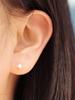 Minimal Piercing 14K Freshwater Pearl Cubic Proof Earrings