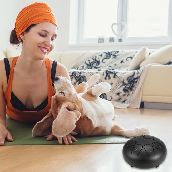 8 Notes 6 Inches Tongue Tank Panda Drum Steel Percussion with Bag and Mallets for Adult Kids Beginner Pros