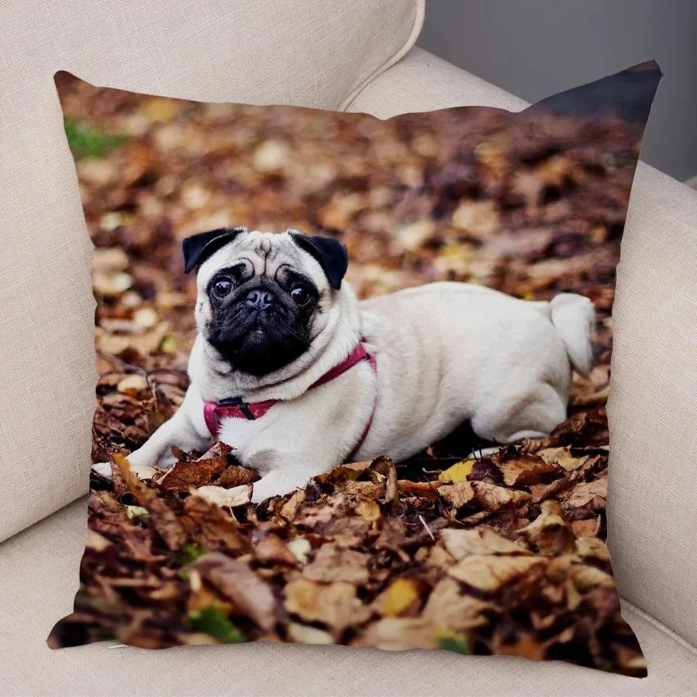 VIKAMA Nordic-Style Adorable Dog Cushion Cover Pug Print Cushion Cover Bedroom Living Room Sofa Decorative Cushion Cover