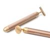 Breo Premium 24K Gold Beauty Massager CN Plug (adapter Included)