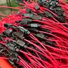5/10Pcs 14AWG Car Mini Fuse Box Blade Type In Line Fuse Holder Waterproof for 2V 30A Car Motorcycles Wire Cutoff Switch Socket