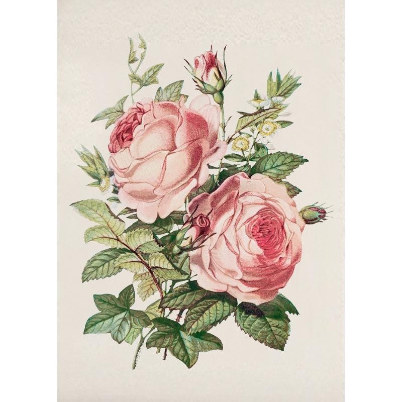 

Винтажный постер с розовыми розами, цветочный принт, ботанические цветы, холст, живопись, настенное искусство, картины для коттеджной гостиной, домашний декор 21cm×30cm NoFrame