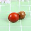 10Pcs/set 4cm Mini Fake Foam Mushroom Simulation Fruit and Vegetable Bonsai Ornaments Home Holiday Decoration Photography Props