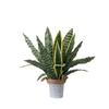 Faux Snake Plant with Lifelike Leaf Design for Home and For Wedding Decor Made of PVC for Long Term Use and Easy Setup