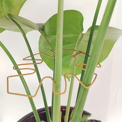 Zatravnění a úprava terénu – Podpěry pro rostliny