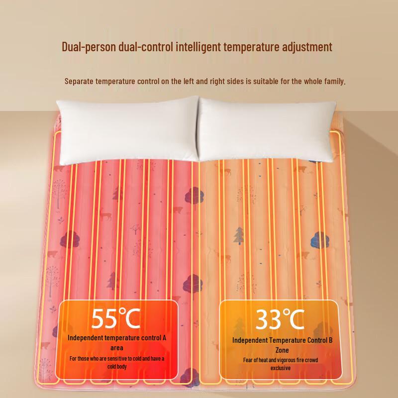 Royalstar Dual Control Electric Blanket