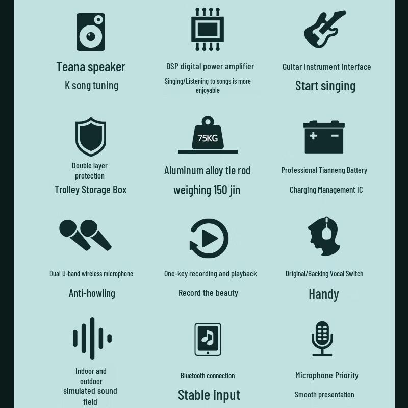 SANSUI Outdoor Portable KTV Trolley Speaker