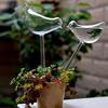 Imitation Glass Plastic Bird Automatic Water Dispenser Lazy Water Dispenser Travel Dripping Machine Lazy Water Dispenser Circula
