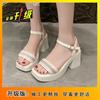 Sweet Lady Not Tired Feet Women's Shoes Women 2025 New Summer Internet Celebrity Explosion High Heel Thick Heel Word with Sandals