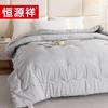 Hengyuanxiang 3D Comfort Winter Quilt
