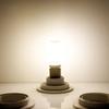 Led Bulb 5W 8W 12W 220V Ac Smd Light White Nan Lamps 360° Lighting Specialty Corn Bulbs Decorative Shop G9 E14 Wedding Party For