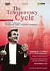 DVD RODNEY GREENBERG - Tchaikovsky Cycle 1 / Symphony 1 Arthaus Musik US Classical Used