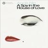 A Spy In The House Of Love by Anais Nin Paperback Book 9780141183718