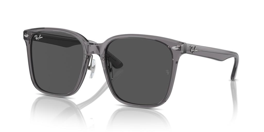 Sunglasses RB2206D TRANSPARENT GRAY 57 [Ray-Ban]
