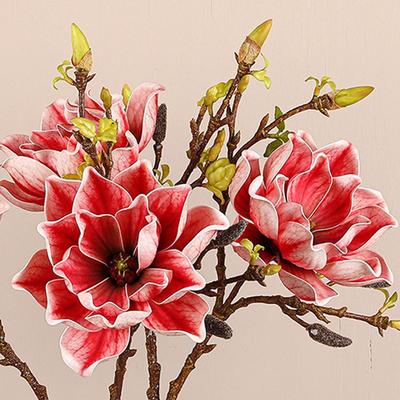 EVA Artificial Magnolia Branch Real Touch Floral Art Artificial Orchid Flowers Handmade Simulation Big Magnolia