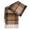 New Fashion Plaid 11 Scarf Women's Autumn and Winter Warm Tassel Shawl Versatile Student Scarf Men