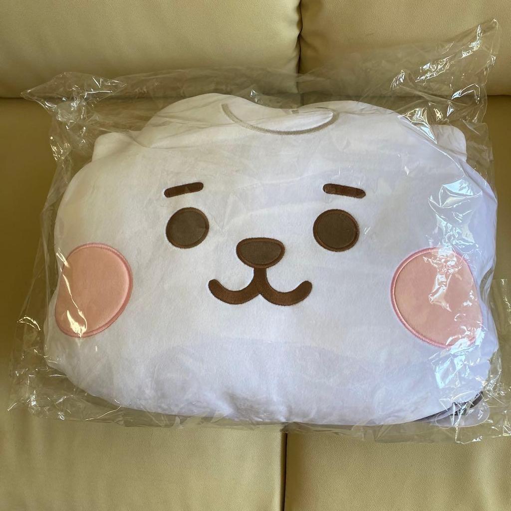 Used BT21 RJ Plush Cushion