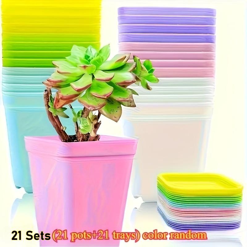 21 Set Vibrant Seedling Containers Colorful Square Plastic Flower Pots for Growing Succulent Plants with Trays Room Garden Decor
