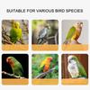 Rozsdamentes Acél Papagáj Bokalánc Kisállat Madár Biztonsági Hám Madár Kalandfelszerelések a Biztonságos Madárkezeléshez