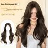 Women's Long Curly Lace Front Wig, Middle Part, Fluffy Daily Wear