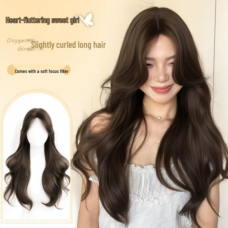 Women's Long Curly Lace Front Wig, Middle Part, Fluffy Daily Wear